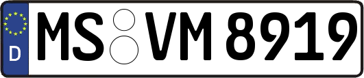 MS-VM8919