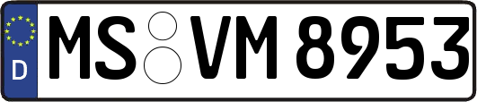 MS-VM8953