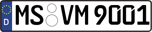 MS-VM9001