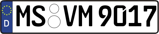 MS-VM9017