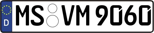 MS-VM9060
