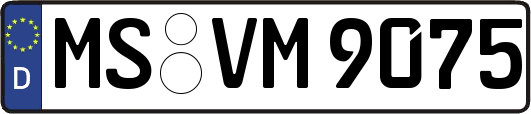 MS-VM9075