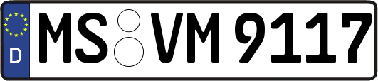 MS-VM9117