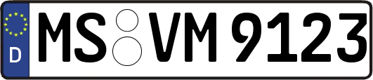 MS-VM9123