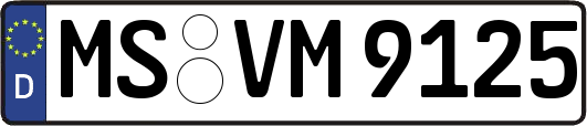 MS-VM9125