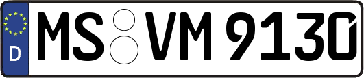MS-VM9130