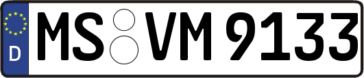 MS-VM9133