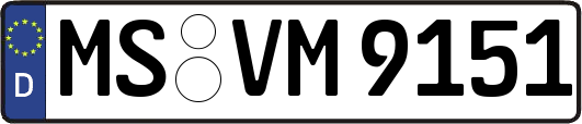 MS-VM9151