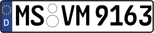 MS-VM9163