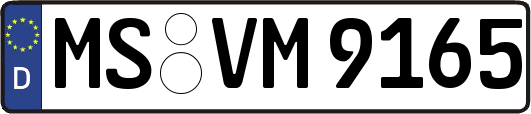 MS-VM9165