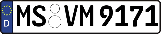 MS-VM9171