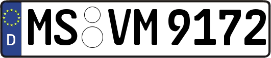 MS-VM9172