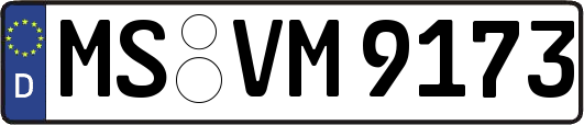 MS-VM9173
