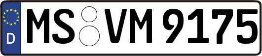 MS-VM9175