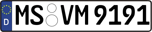 MS-VM9191
