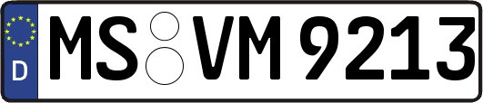 MS-VM9213
