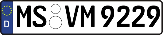 MS-VM9229