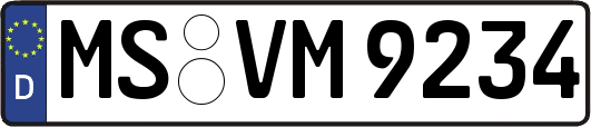 MS-VM9234