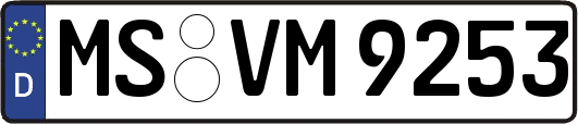 MS-VM9253