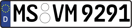 MS-VM9291