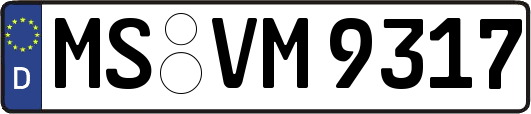 MS-VM9317