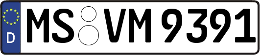 MS-VM9391