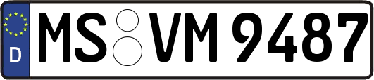 MS-VM9487