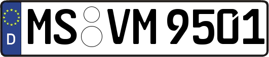 MS-VM9501