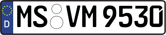 MS-VM9530