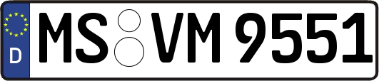 MS-VM9551