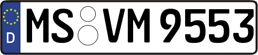 MS-VM9553