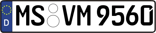 MS-VM9560