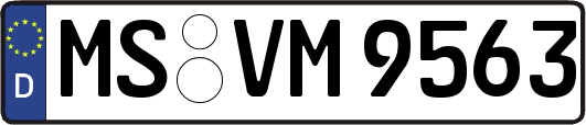 MS-VM9563