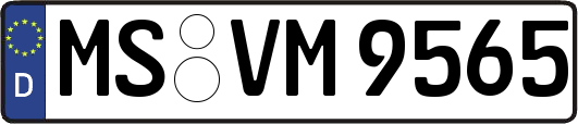 MS-VM9565