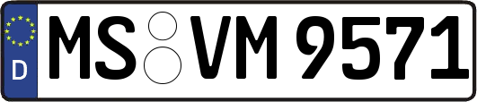 MS-VM9571