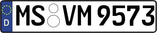 MS-VM9573