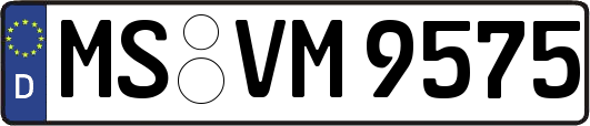 MS-VM9575