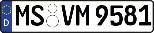 MS-VM9581