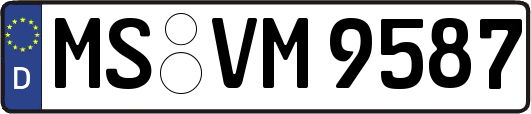 MS-VM9587