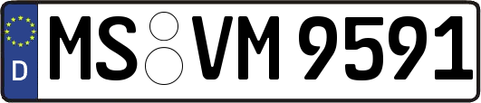 MS-VM9591