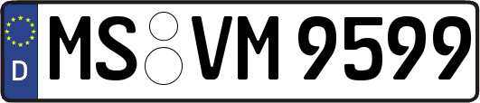 MS-VM9599