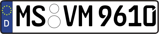 MS-VM9610