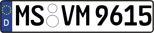 MS-VM9615
