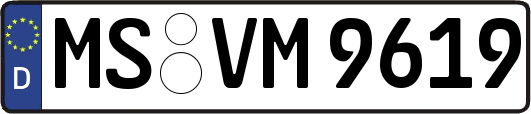 MS-VM9619