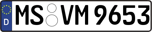 MS-VM9653