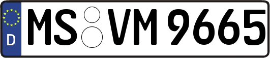 MS-VM9665