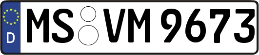 MS-VM9673