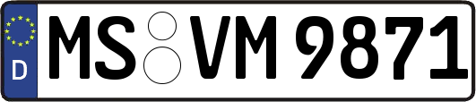 MS-VM9871