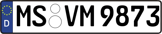 MS-VM9873