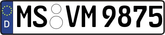 MS-VM9875